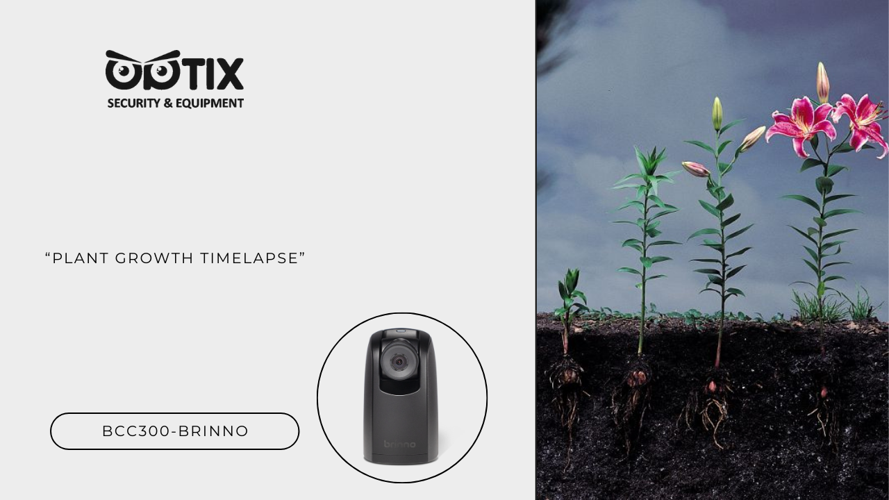 Bitki Büyümesinin Zaman Atlaması